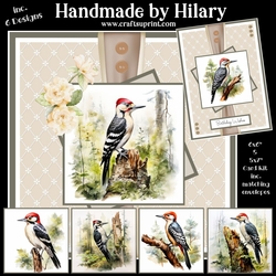 The Wondrous Woodpecker