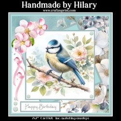 Bluetits and Blossoms