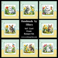 Springtime Bunnies and Birdies 8x8 Card Front Bumper Kit