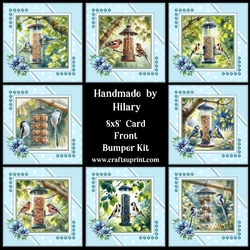 Feeding the Birds 8x8 Card Front Bumper Kit
