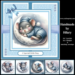 Bedtime Mouse