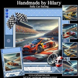 Rally Car Racing