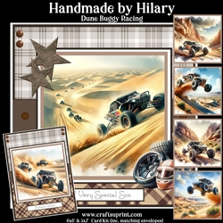 Dune Buggy Racing