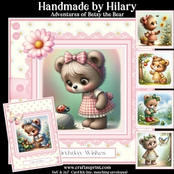 Adventures of Betsy the Bear