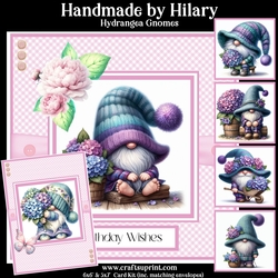 Hydrangea Gnomes