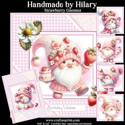 Strawberry Gnomes