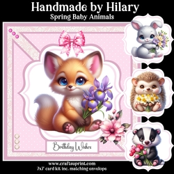 Spring Baby Animals