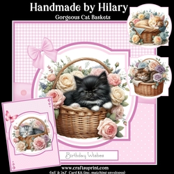 Gorgeous Cat Baskets