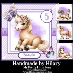 My Pretty Little Pony