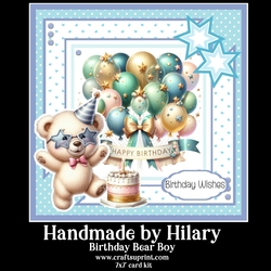 Birthday Bear Boy