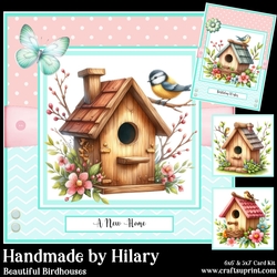 Beautiful Birdhouses