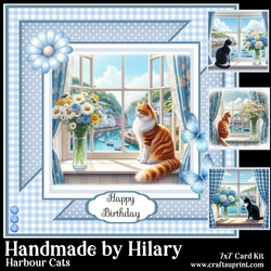Harbour Cats