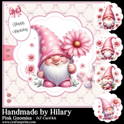 Pink Gnomies