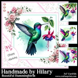 Beautiful Hummingbirds