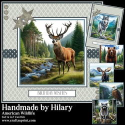 American Wildlife