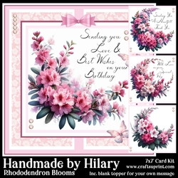 Rhododendron Blooms