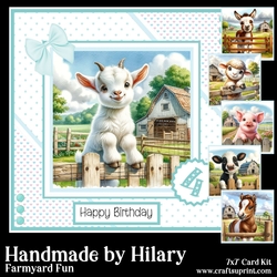 Farmyard Fun
