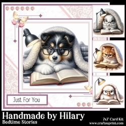 Bedtime Stories