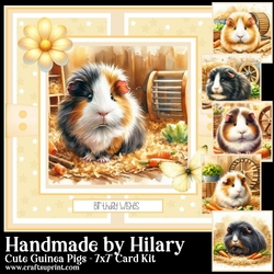 Cute Guinea Pigs