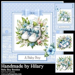Baby Boy Booties