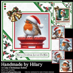 A Cute Christmas Robin