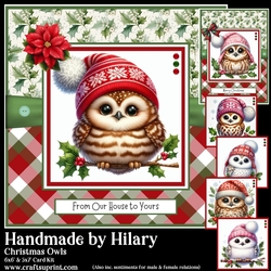 Christmas Owls