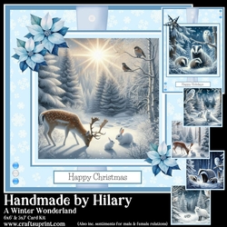 A Winter Wonderland