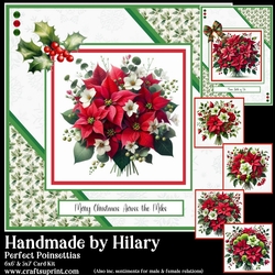 Perfect Poinsettias