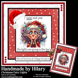 Christmas Fairy Lights