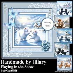 Playing in the Snow