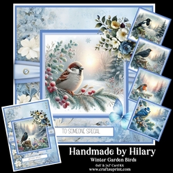 Winter Garden Birds