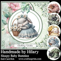 Sleepy Baby Bunnies