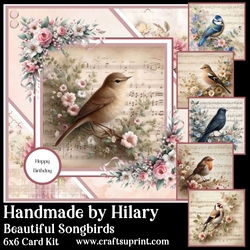Beautiful Songbirds
