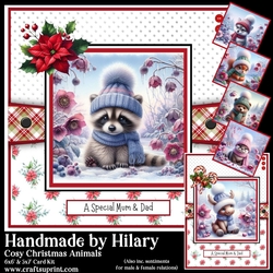 Cosy Christmas Animals
