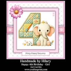 Happy 4th Birthday Girl
