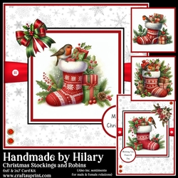 Christmas Stockings and Robins