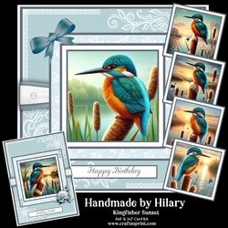 Kingfisher Sunset