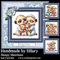 Sleepy Meerkats
