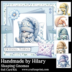 Sleeping Gnomes