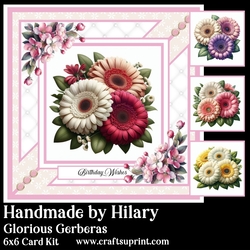 Glorious Gerberas