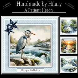 A Patient Heron