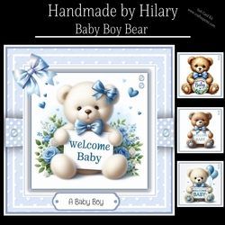 Baby Boy Bear