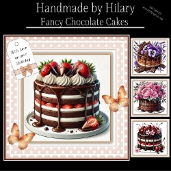 Fancy Chocolate Cakes