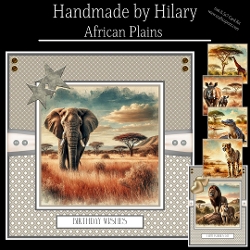 African Plains