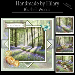 Bluebell Woods