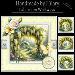 Laburnum Walkways