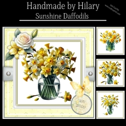 Sunshine Daffodils