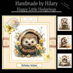 Happy Little Hedgehogs