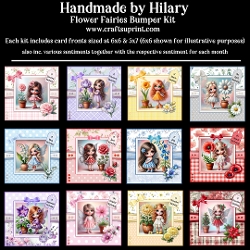 Flower Fairies Bumper Kit