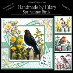 Springtime Birds
